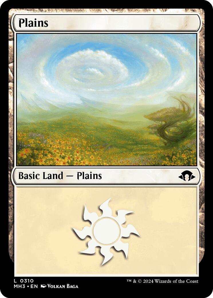 Plains (0310)