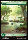 Forest (0308)