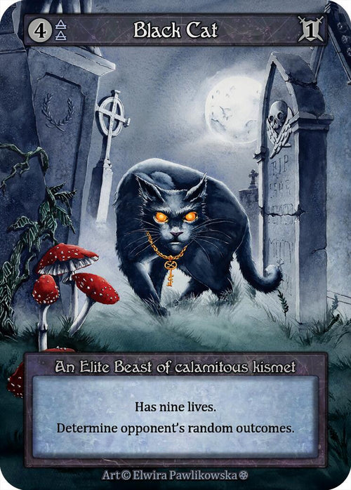 Black Cat