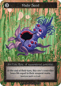 Nadir Seed