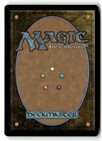 Shamanic Revelation (Back)