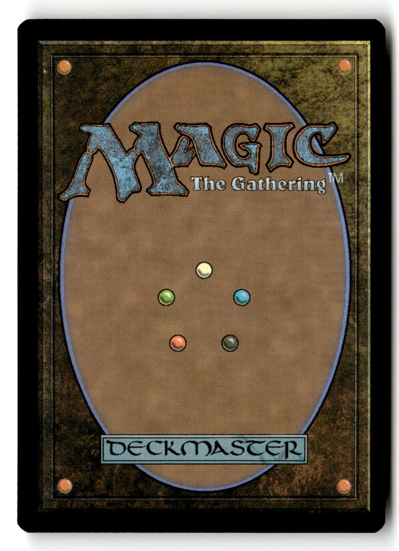 Shamanic Revelation (Back)