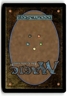 Thunderdrum Soloist (Back)