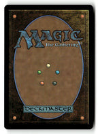 Stormcarved Coast (Back)