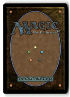 Visionary's Dance (Back)