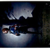 Vengeful Heir (Foil) (Back)