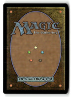 Scholar of Stars (Back)