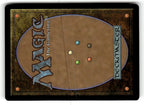 Tome Raider (Back)