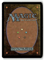 Spin Engine (Back)