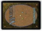 Ghitu Chronicler (Back)