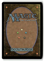 Evra, Halcyon Witness (Back)