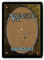 Ainok Guide (Back)