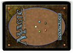 Gleaming Barrier (Back)