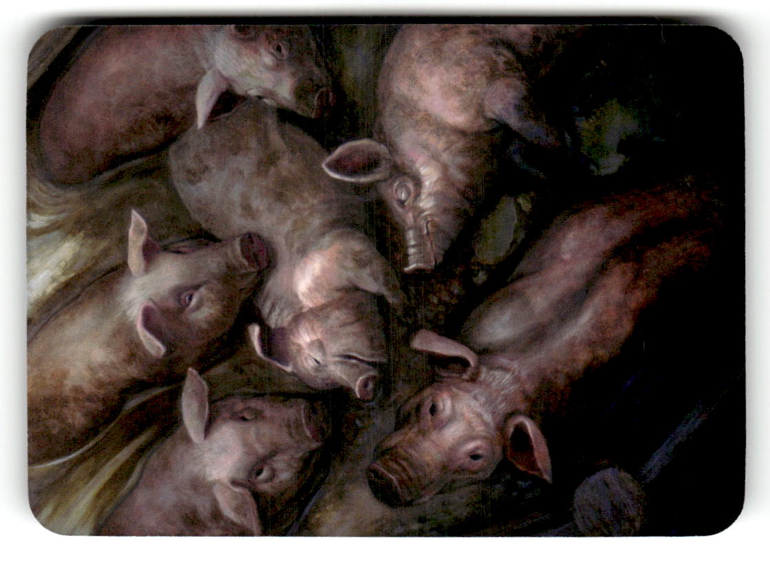 Muddy Pigs (Foil) (Back)