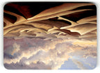 Vast Desert (Foil) (Back)