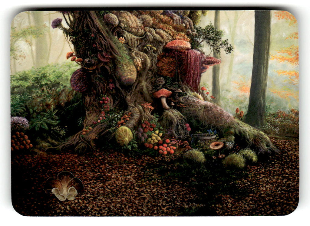 Autumn Bloom (Foil) (Back)