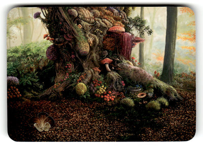 Autumn Bloom (Foil) (Back)