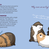 Hamsters and Himbos
